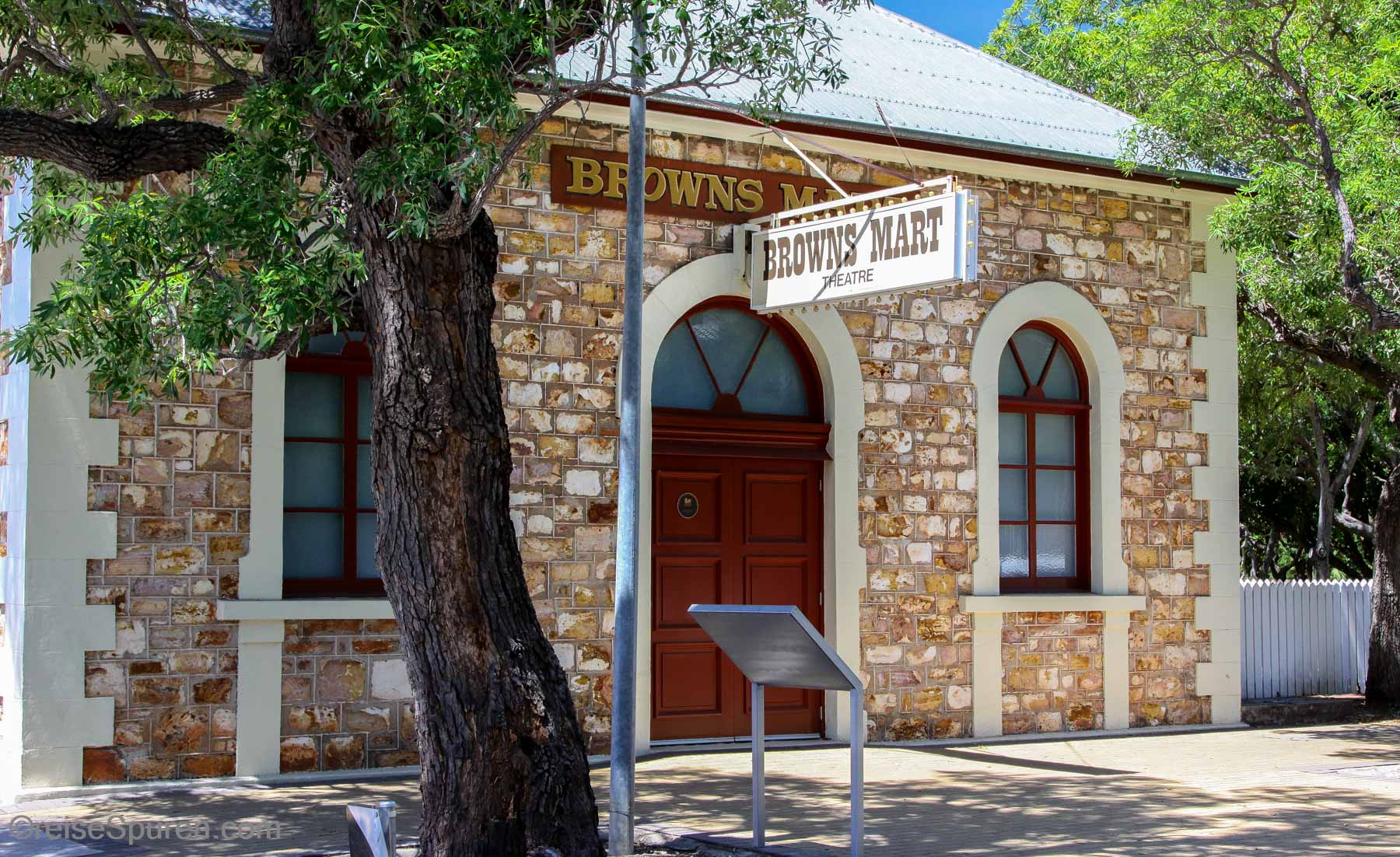 Darwin