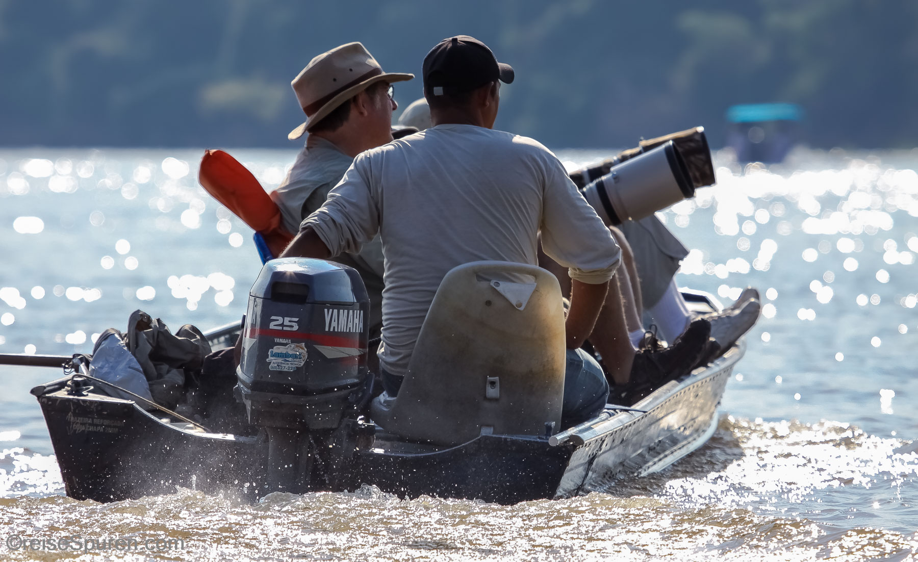 Todd Gustafson (bekannter Tierfotograf)