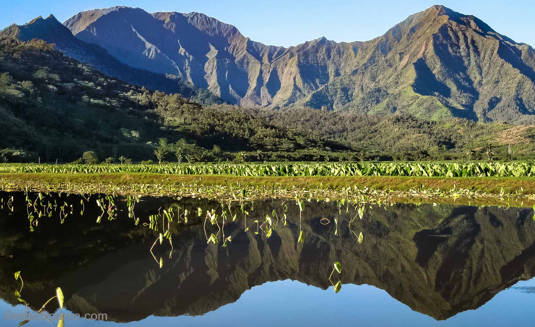 Hanalei Valley