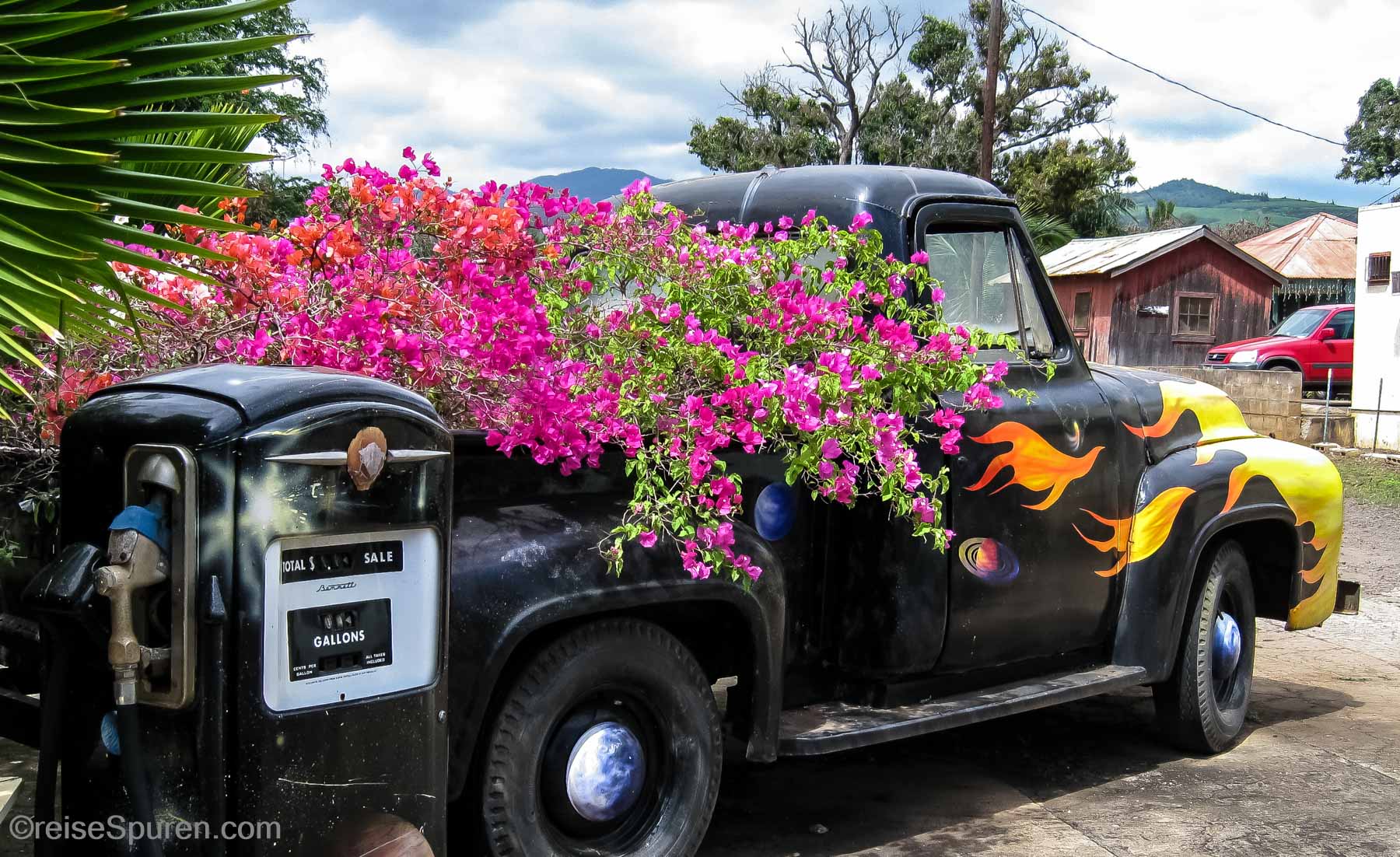 Blumen-Oldtimer