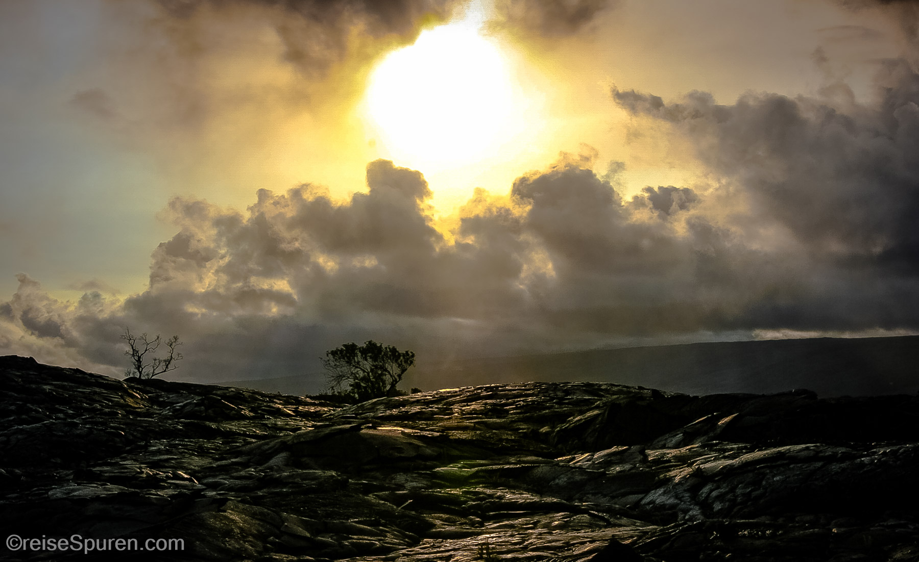 Lavafeld